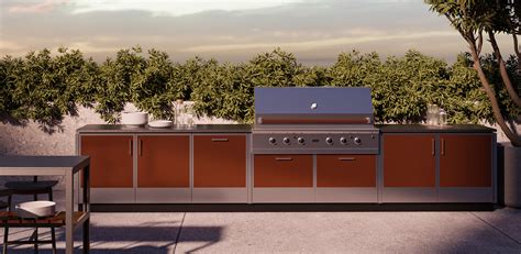 outdoor stainless steel cabinets adore|stainless steel cabinets for sale.